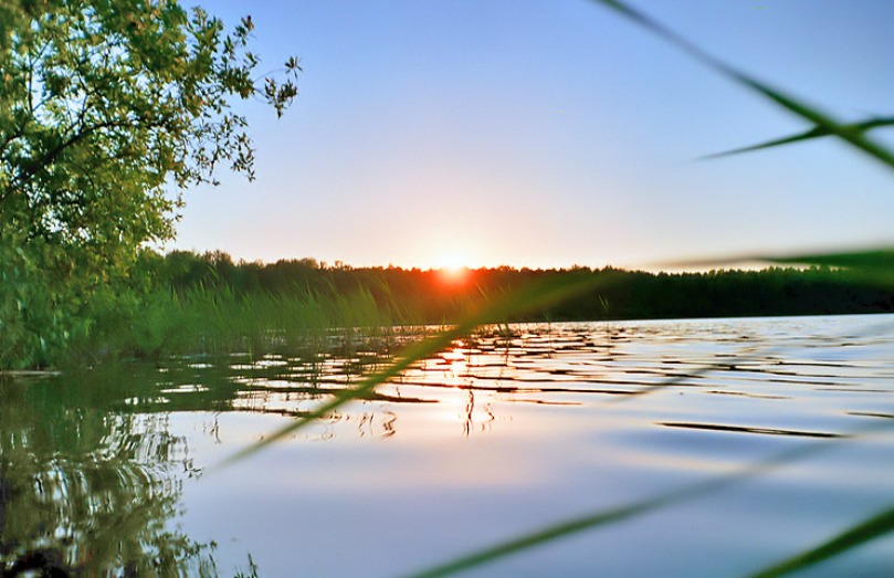 Озера в Новосибирской области пять озер. Озеро Чаны Алтайский край. Озеро Окунево Омская область. Окунево Омская область пять озер. Озеро данилово область