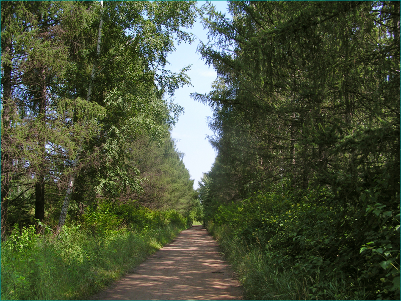 Дендропарк в новосибирске фото